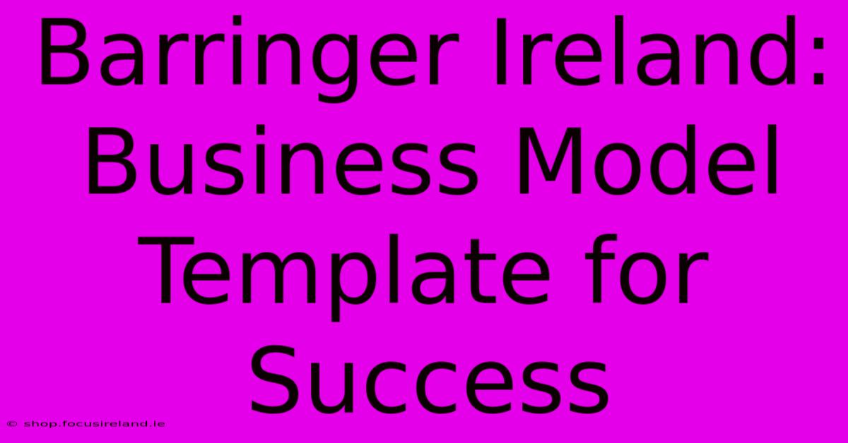 Barringer Ireland: Business Model Template For Success