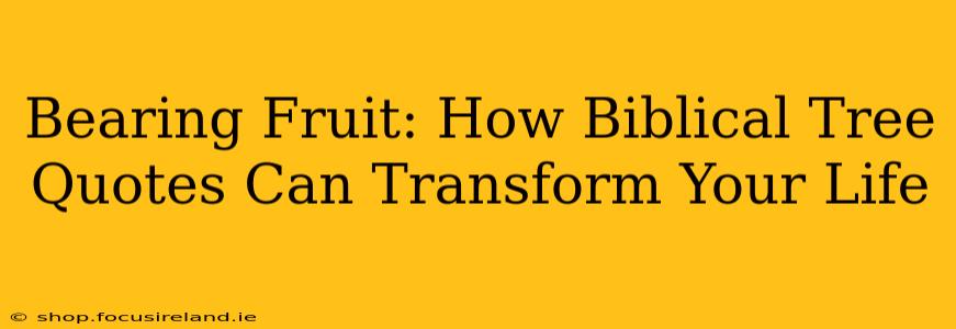 Bearing Fruit: How Biblical Tree Quotes Can Transform Your Life