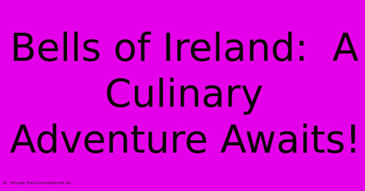 Bells Of Ireland:  A Culinary Adventure Awaits!