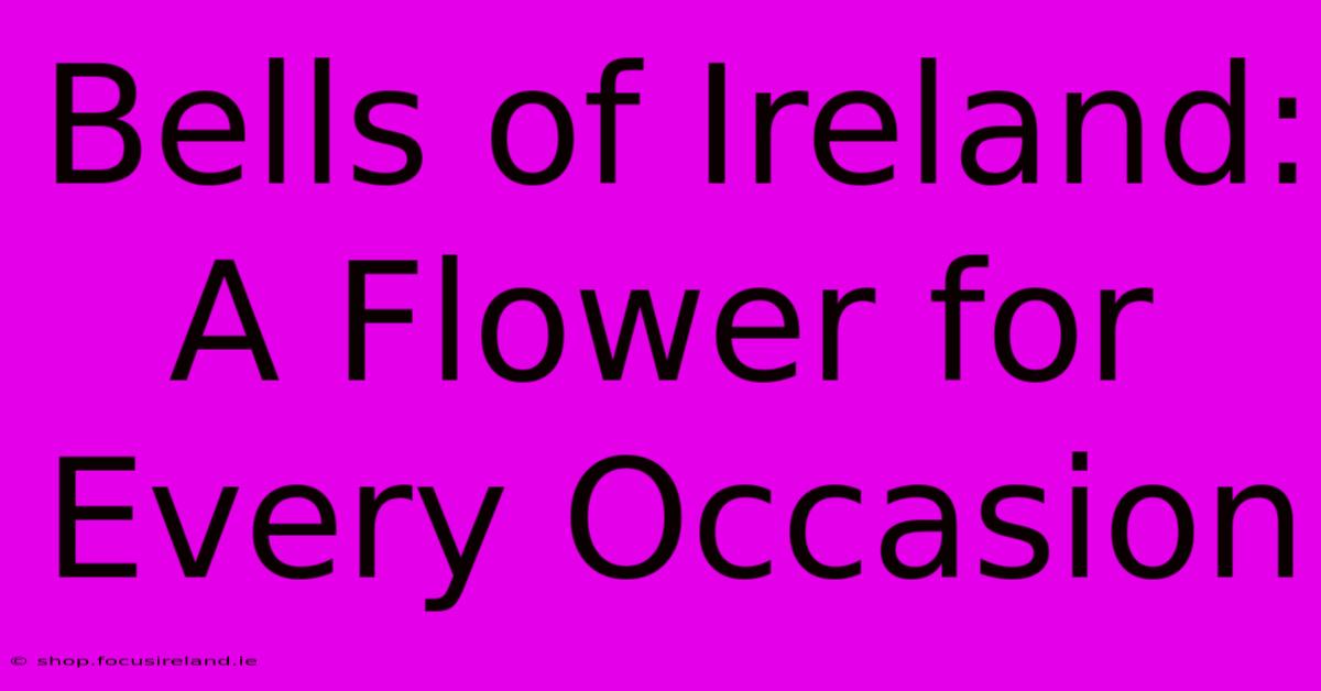 Bells Of Ireland: A Flower For Every Occasion