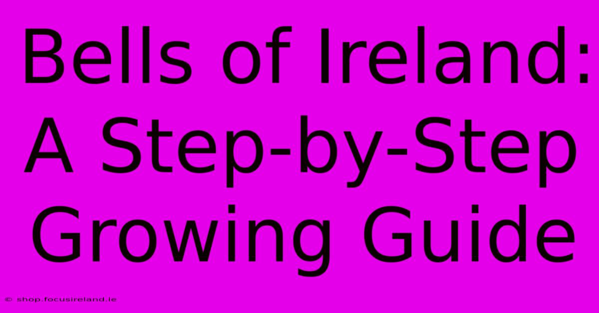 Bells Of Ireland: A Step-by-Step Growing Guide