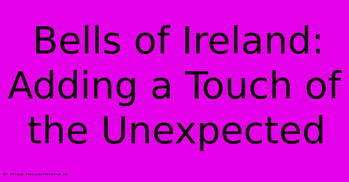 Bells Of Ireland: Adding A Touch Of The Unexpected