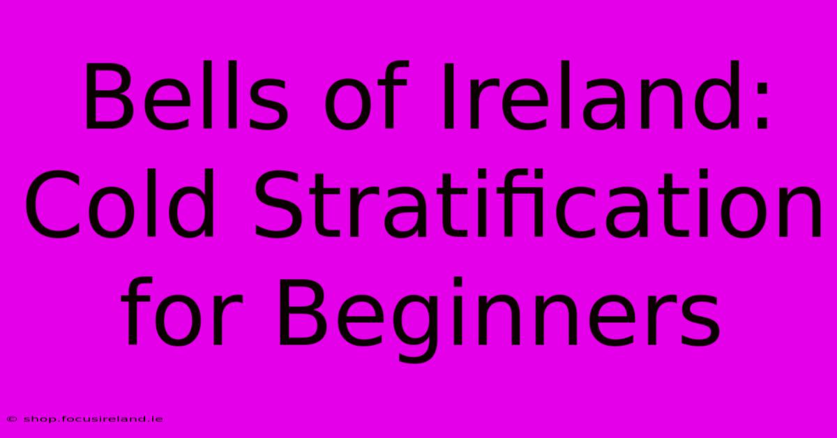 Bells Of Ireland: Cold Stratification For Beginners