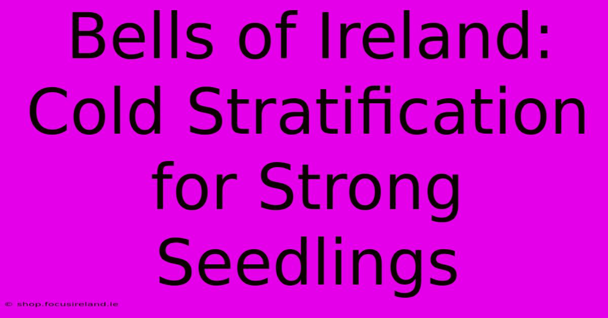 Bells Of Ireland: Cold Stratification For Strong Seedlings