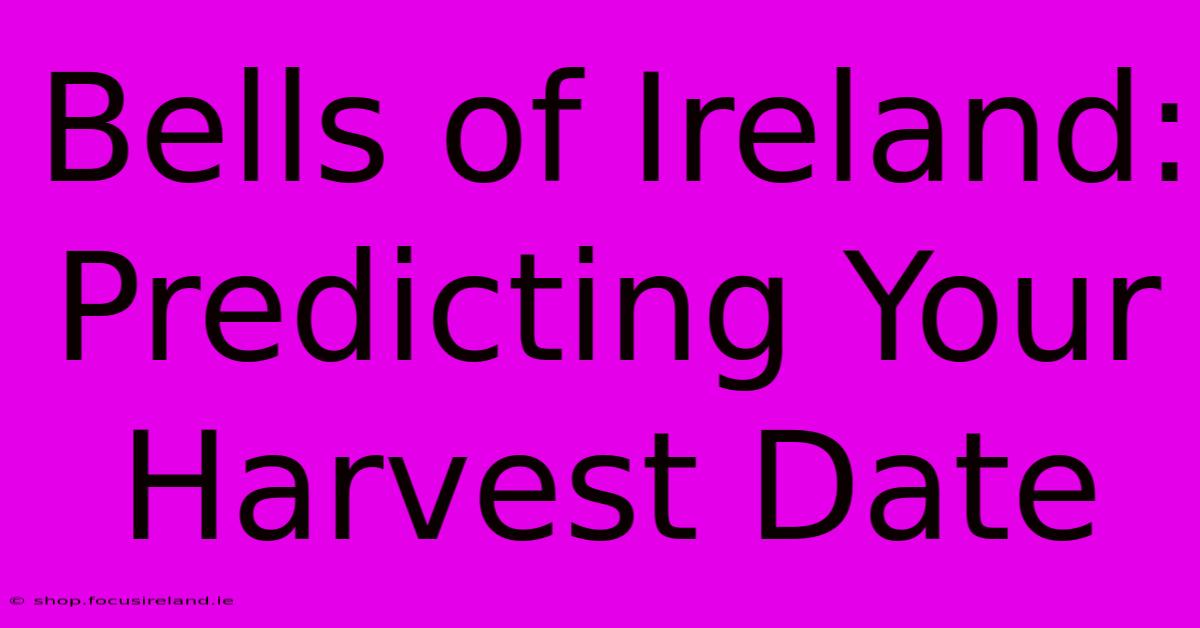 Bells Of Ireland: Predicting Your Harvest Date