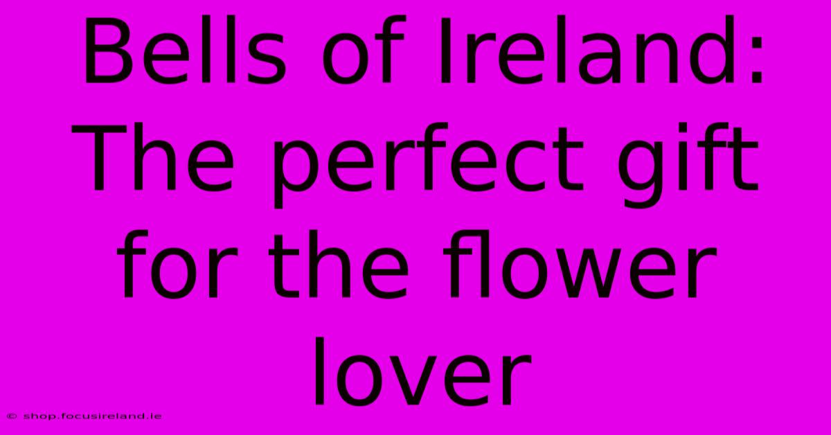 Bells Of Ireland: The Perfect Gift For The Flower Lover