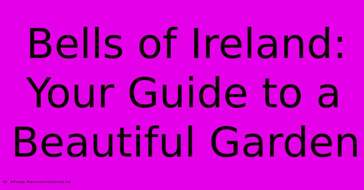 Bells Of Ireland: Your Guide To A Beautiful Garden