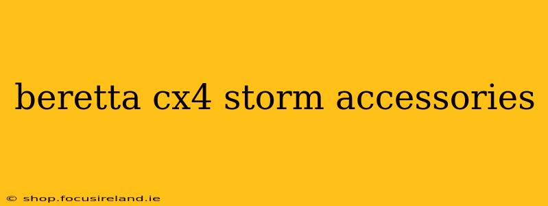 beretta cx4 storm accessories