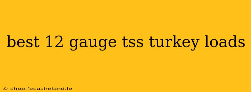 best 12 gauge tss turkey loads
