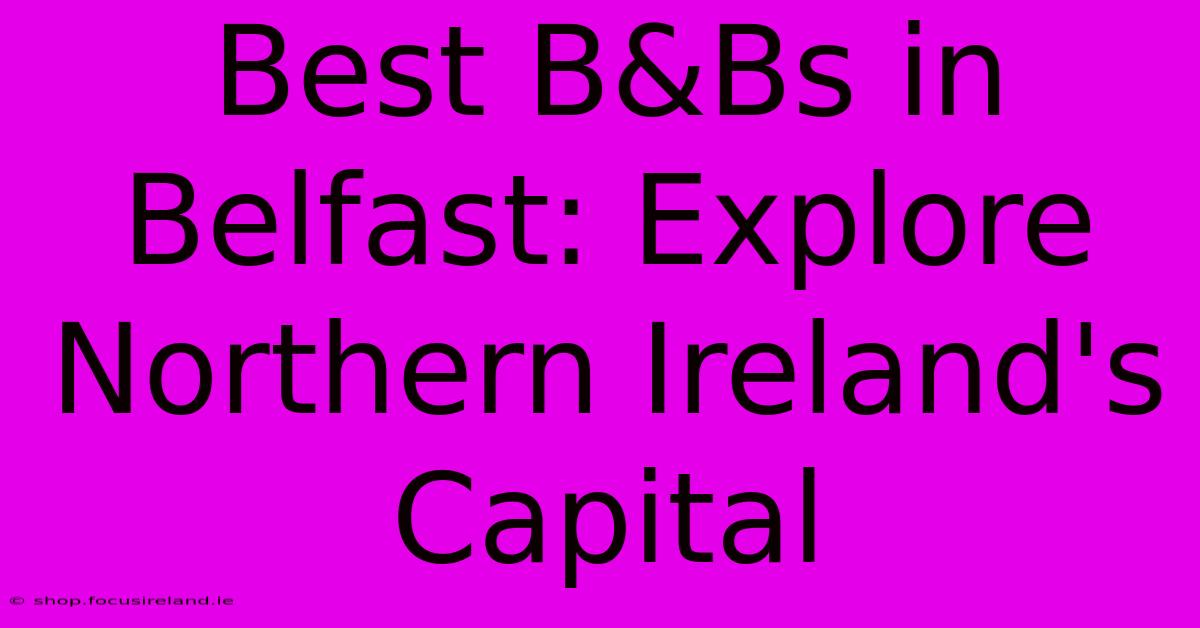 Best B&Bs In Belfast: Explore Northern Ireland's Capital