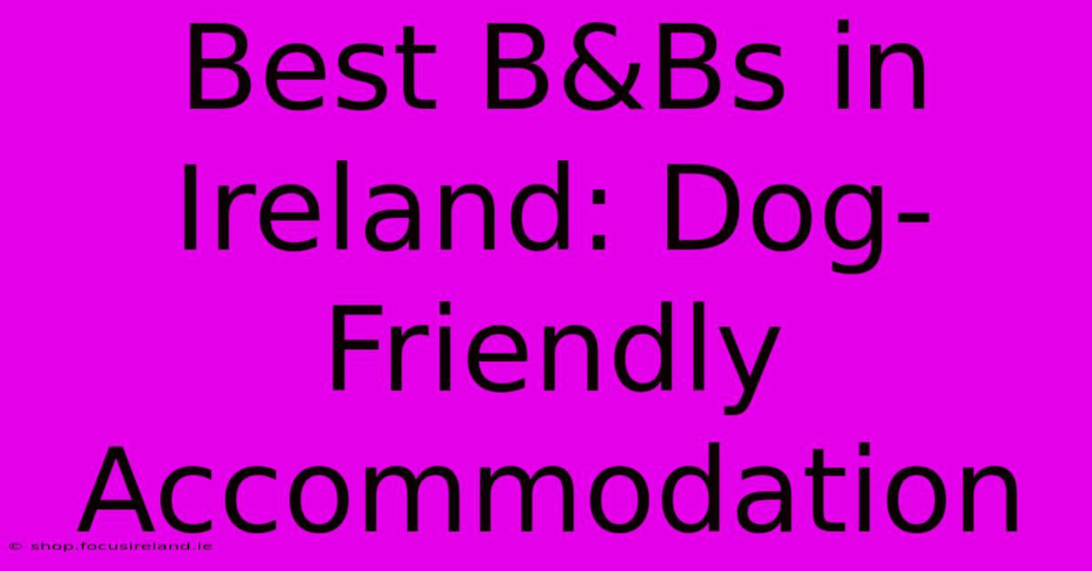 Best B&Bs In Ireland: Dog-Friendly Accommodation