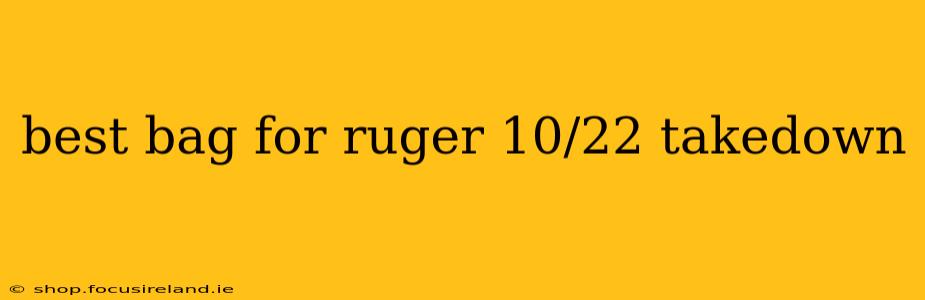best bag for ruger 10/22 takedown