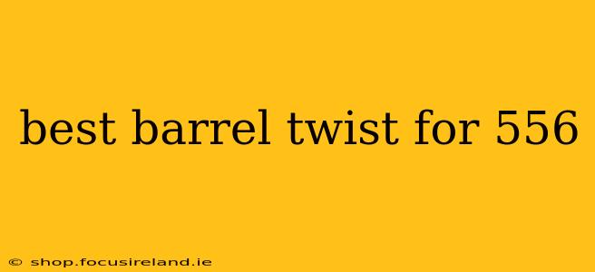 best barrel twist for 556
