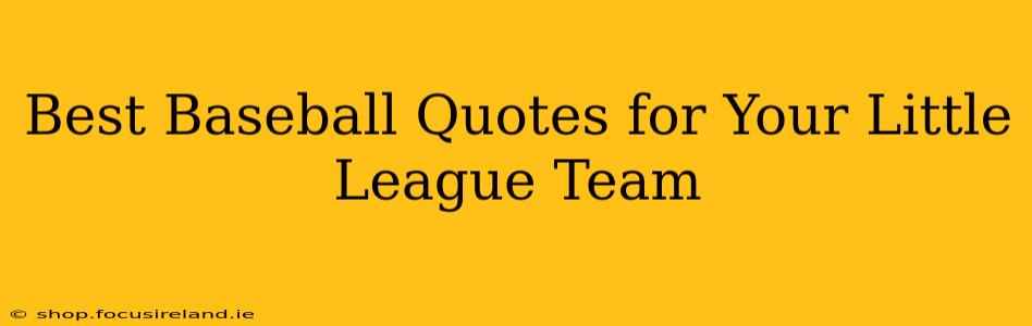 Best Baseball Quotes for Your Little League Team