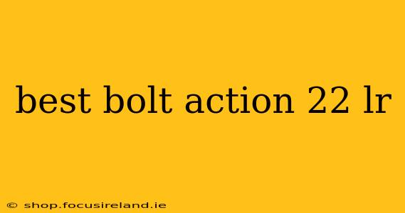 best bolt action 22 lr