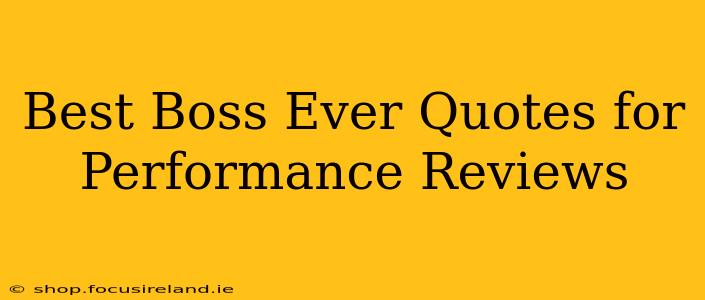 Best Boss Ever Quotes for Performance Reviews
