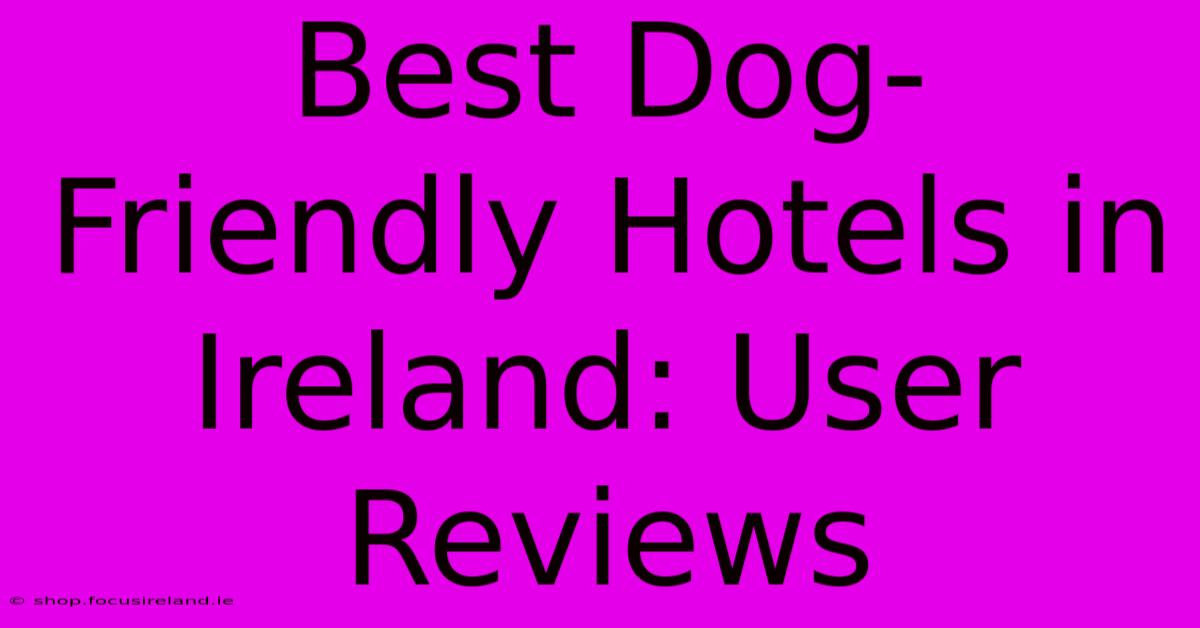 Best Dog-Friendly Hotels In Ireland: User Reviews