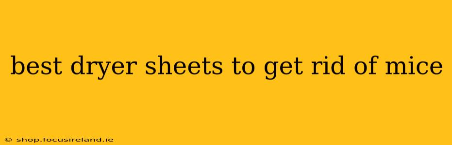 best dryer sheets to get rid of mice