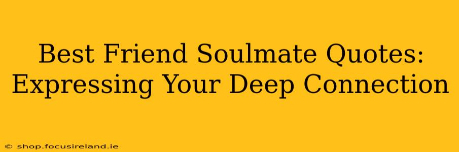 Best Friend Soulmate Quotes: Expressing Your Deep Connection