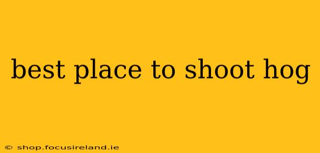 best place to shoot hog
