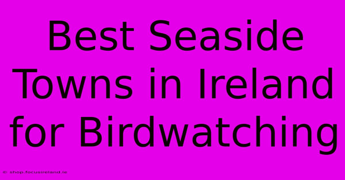 Best Seaside Towns In Ireland For Birdwatching