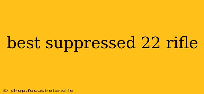 best suppressed 22 rifle