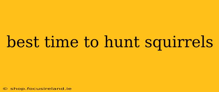 best time to hunt squirrels