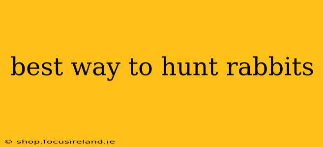 best way to hunt rabbits