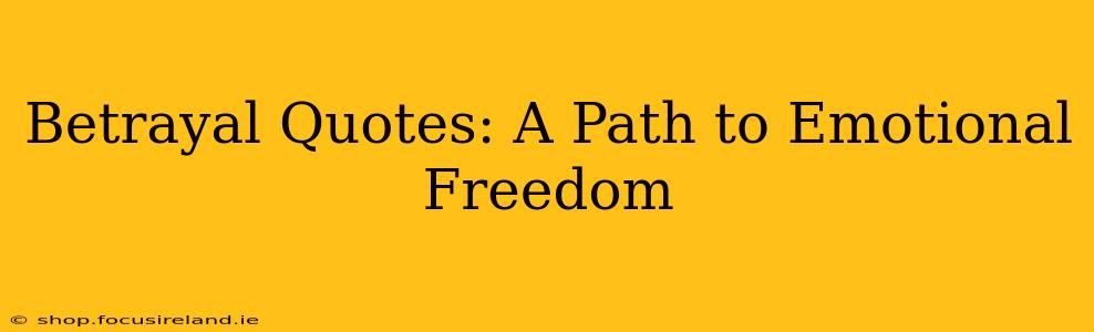 Betrayal Quotes: A Path to Emotional Freedom