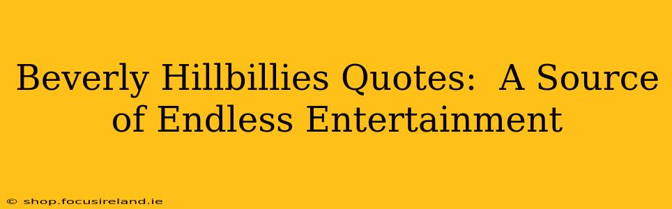 Beverly Hillbillies Quotes:  A Source of Endless Entertainment