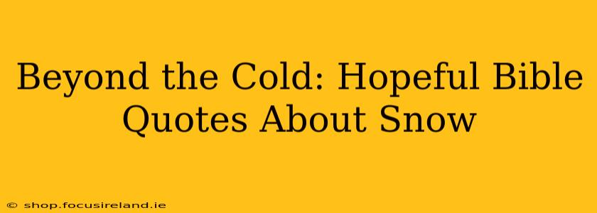 Beyond the Cold: Hopeful Bible Quotes About Snow