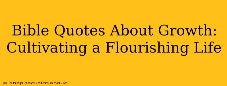 Bible Quotes About Growth: Cultivating a Flourishing Life