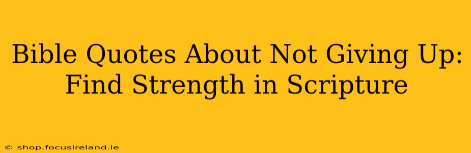 Bible Quotes About Not Giving Up: Find Strength in Scripture