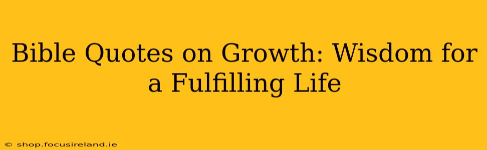 Bible Quotes on Growth: Wisdom for a Fulfilling Life