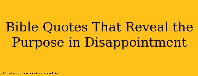 Bible Quotes That Reveal the Purpose in Disappointment