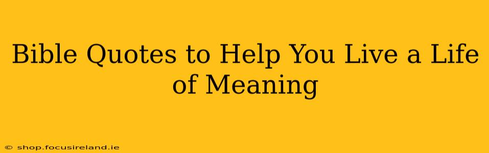 Bible Quotes to Help You Live a Life of Meaning