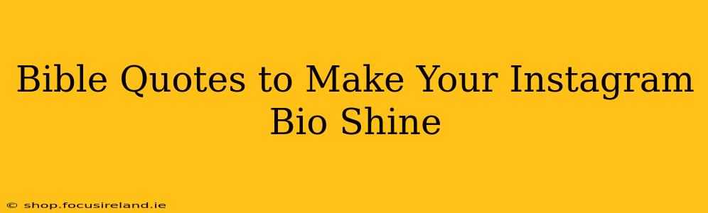 Bible Quotes to Make Your Instagram Bio Shine