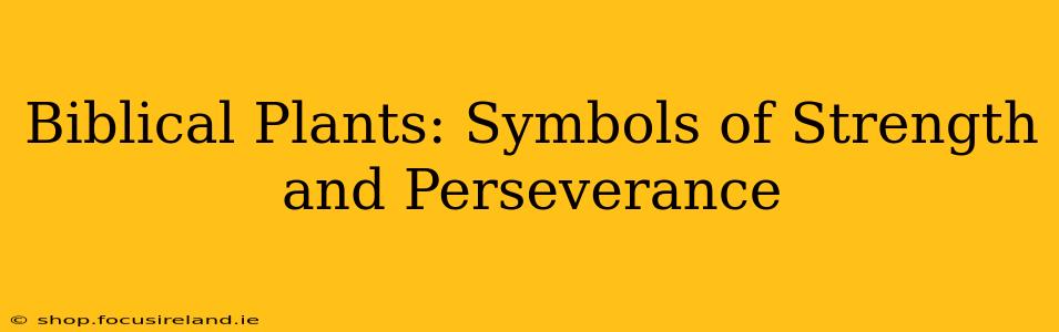 Biblical Plants: Symbols of Strength and Perseverance