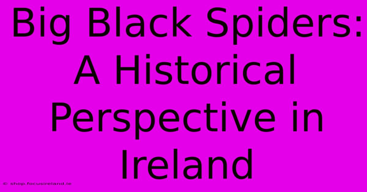 Big Black Spiders: A Historical Perspective In Ireland