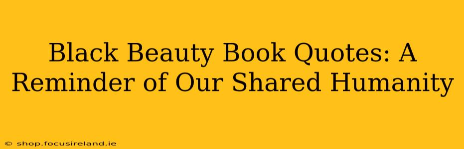 Black Beauty Book Quotes: A Reminder of Our Shared Humanity