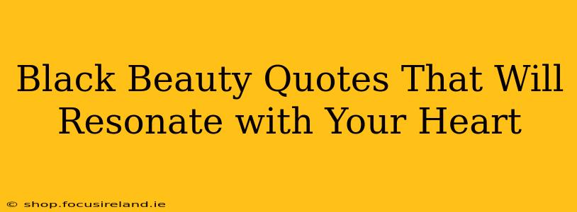 Black Beauty Quotes That Will Resonate with Your Heart