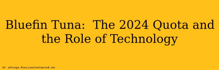 Bluefin Tuna:  The 2024 Quota and the Role of Technology