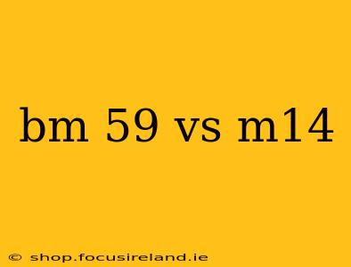 bm 59 vs m14