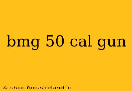 bmg 50 cal gun