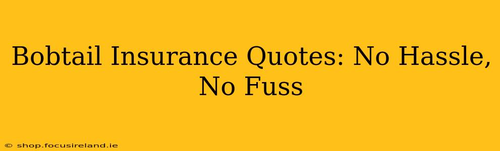 Bobtail Insurance Quotes: No Hassle, No Fuss