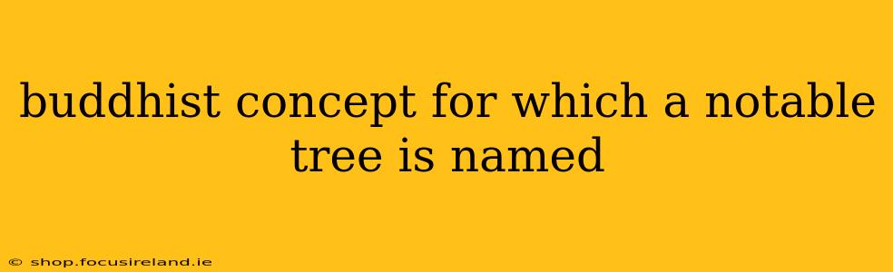 buddhist concept for which a notable tree is named