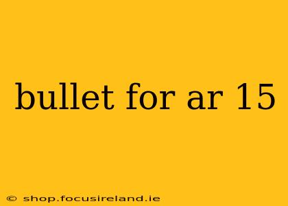 bullet for ar 15