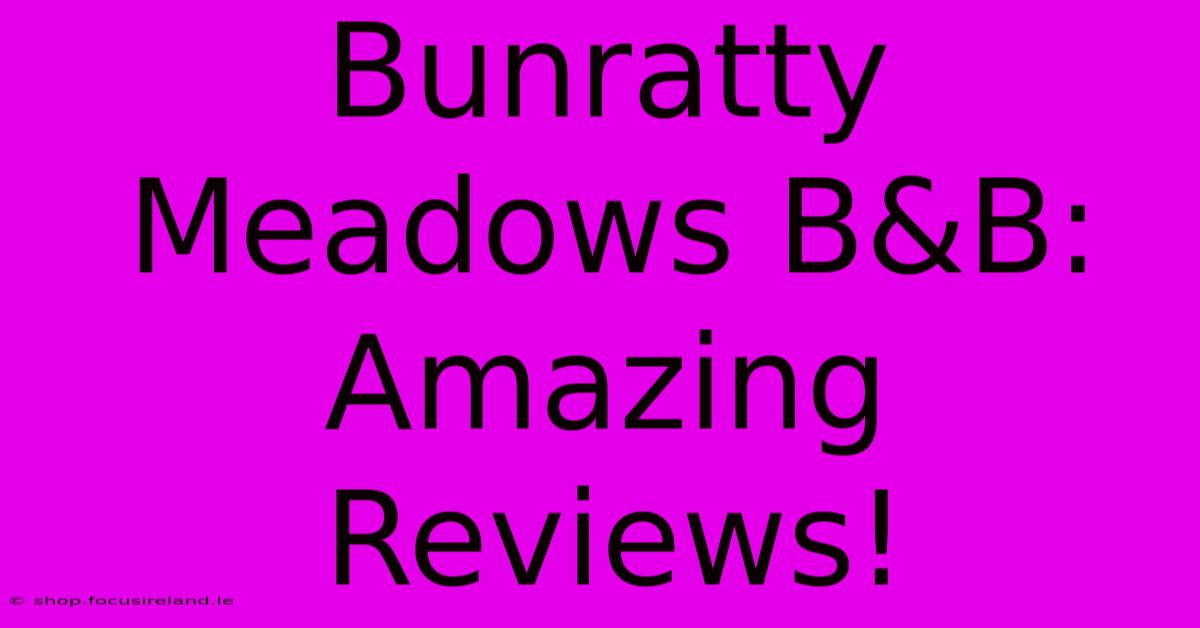 Bunratty Meadows B&B: Amazing Reviews!