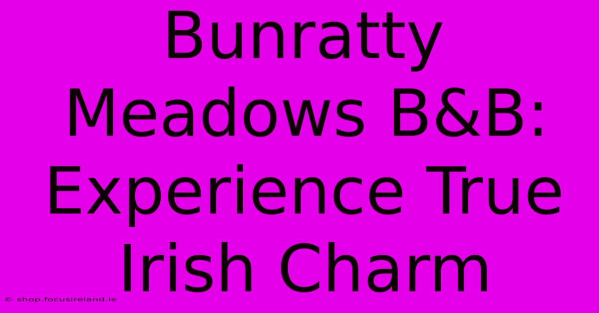 Bunratty Meadows B&B: Experience True Irish Charm