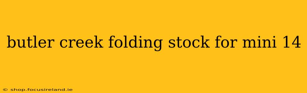 butler creek folding stock for mini 14